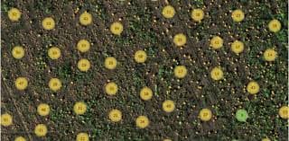 Luchtfoto met data-annotaties — Skywold mapping